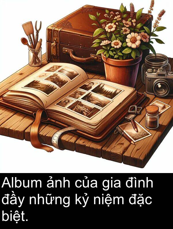 những: Album ảnh của gia đình đầy những kỷ niệm đặc biệt.