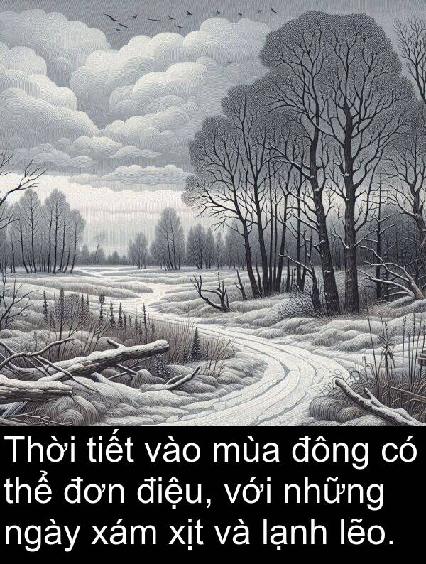 xám: Thời tiết vào mùa đông có thể đơn điệu, với những ngày xám xịt và lạnh lẽo.