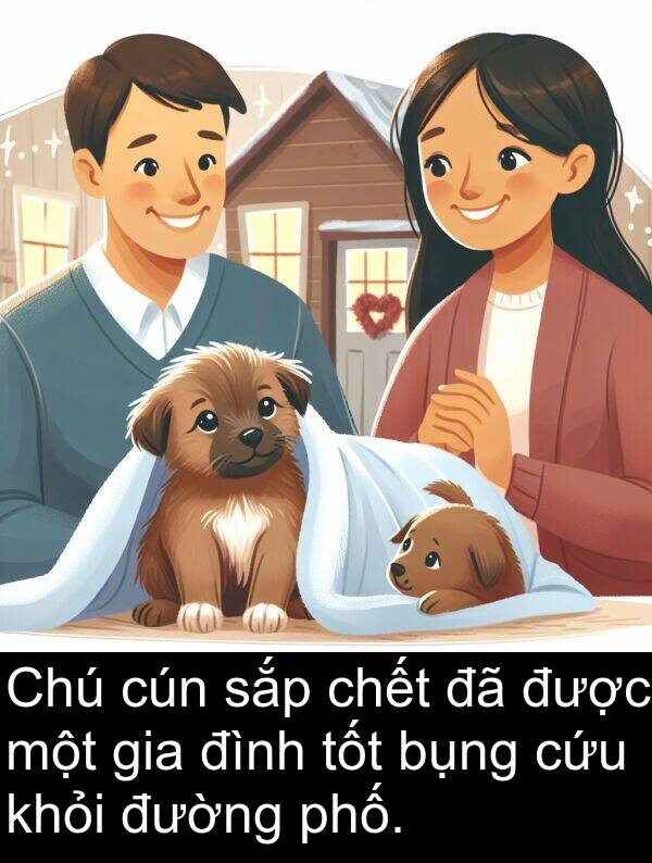 cứu: Chú cún sắp chết đã được một gia đình tốt bụng cứu khỏi đường phố.