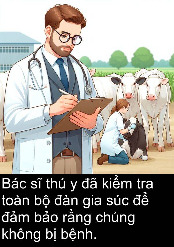 súc: Bác sĩ thú y đã kiểm tra toàn bộ đàn gia súc để đảm bảo rằng chúng không bị bệnh.