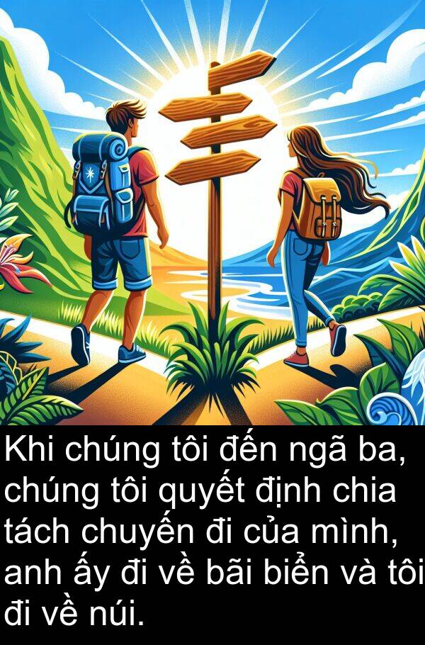 chuyến: Khi chúng tôi đến ngã ba, chúng tôi quyết định chia tách chuyến đi của mình, anh ấy đi về bãi biển và tôi đi về núi.