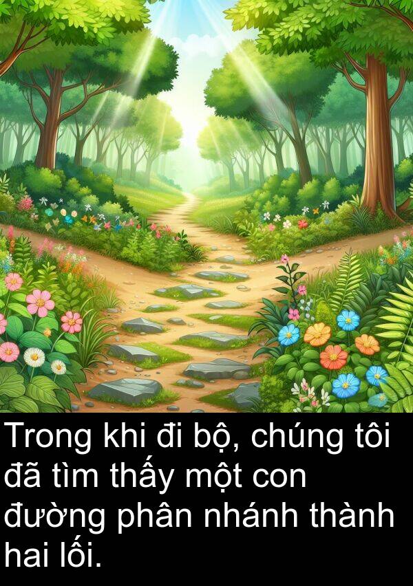 lối: Trong khi đi bộ, chúng tôi đã tìm thấy một con đường phân nhánh thành hai lối.