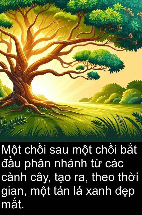 mắt: Một chồi sau một chồi bắt đầu phân nhánh từ các cành cây, tạo ra, theo thời gian, một tán lá xanh đẹp mắt.