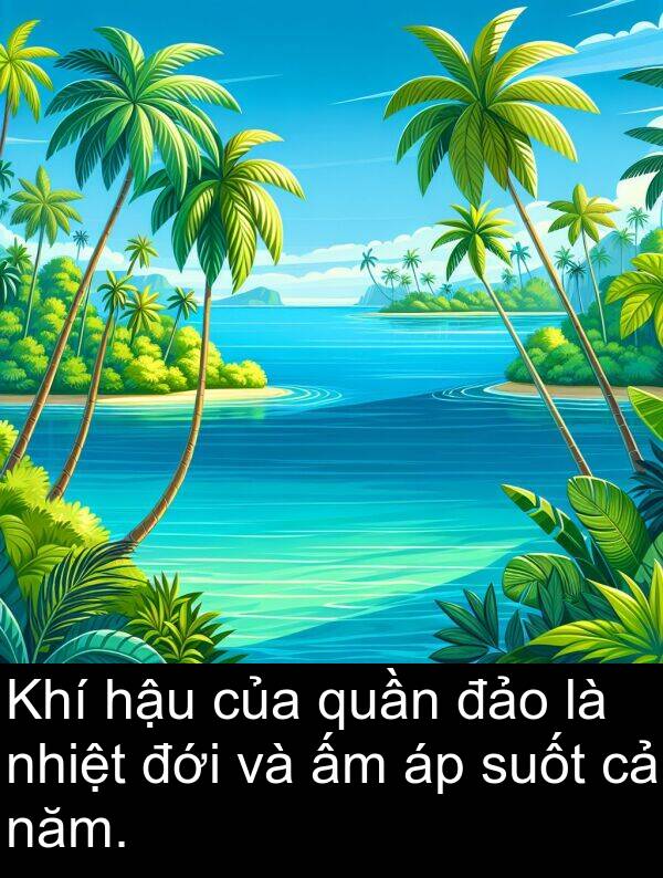 suốt: Khí hậu của quần đảo là nhiệt đới và ấm áp suốt cả năm.