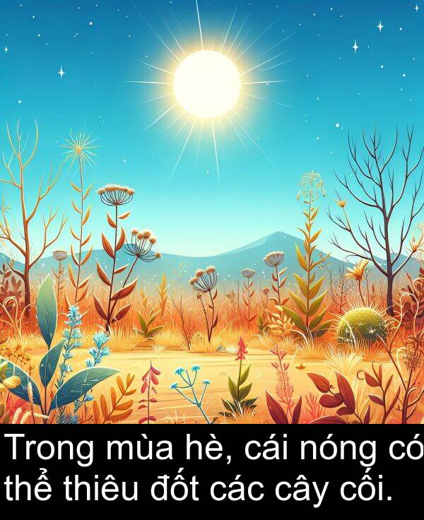 cối: Trong mùa hè, cái nóng có thể thiêu đốt các cây cối.