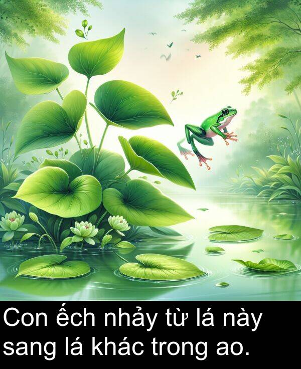 này: Con ếch nhảy từ lá này sang lá khác trong ao.