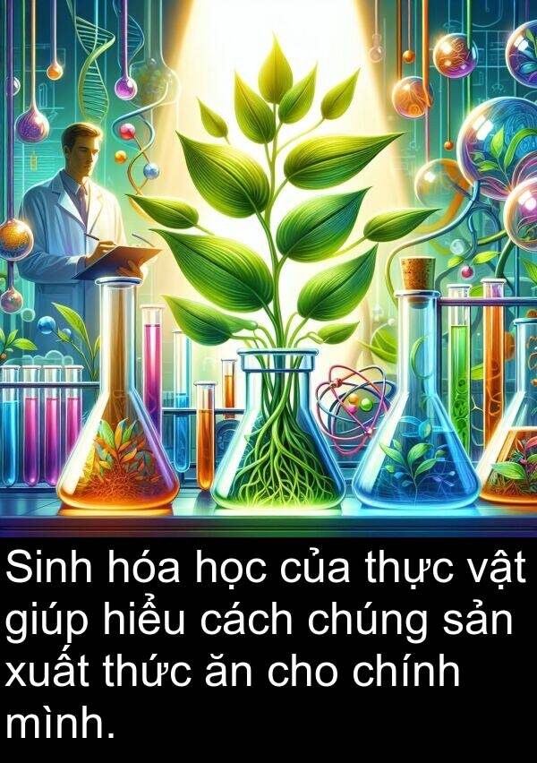 xuất: Sinh hóa học của thực vật giúp hiểu cách chúng sản xuất thức ăn cho chính mình.