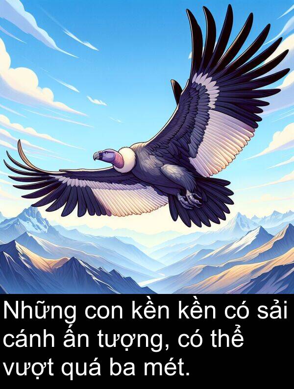 sải: Những con kền kền có sải cánh ấn tượng, có thể vượt quá ba mét.