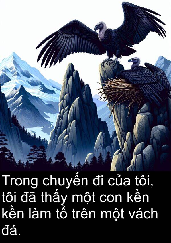 chuyến: Trong chuyến đi của tôi, tôi đã thấy một con kền kền làm tổ trên một vách đá.