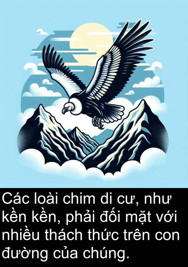 thách: Các loài chim di cư, như kền kền, phải đối mặt với nhiều thách thức trên con đường của chúng.