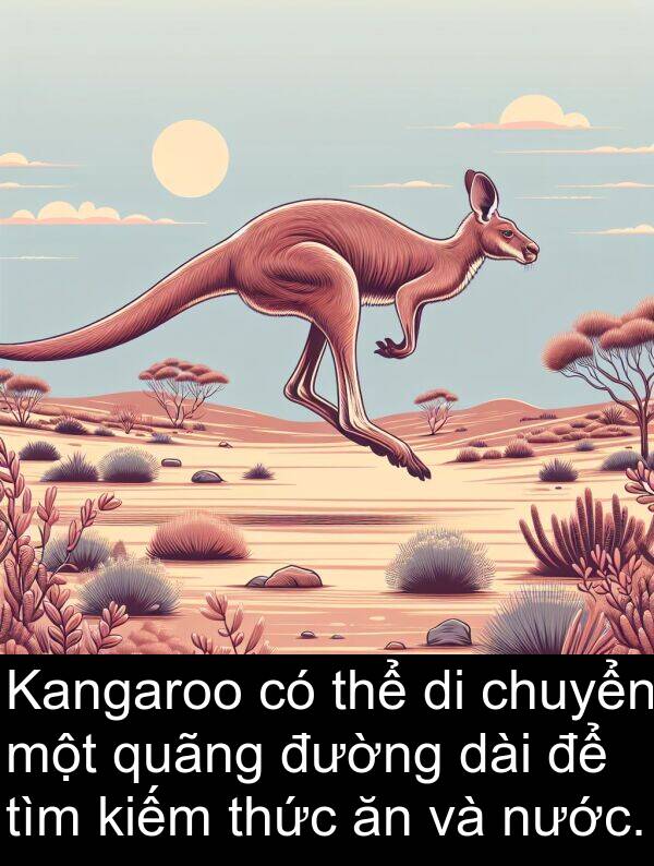 chuyển: Kangaroo có thể di chuyển một quãng đường dài để tìm kiếm thức ăn và nước.