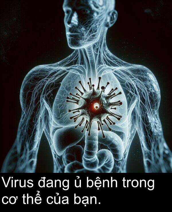 thể: Virus đang ủ bệnh trong cơ thể của bạn.