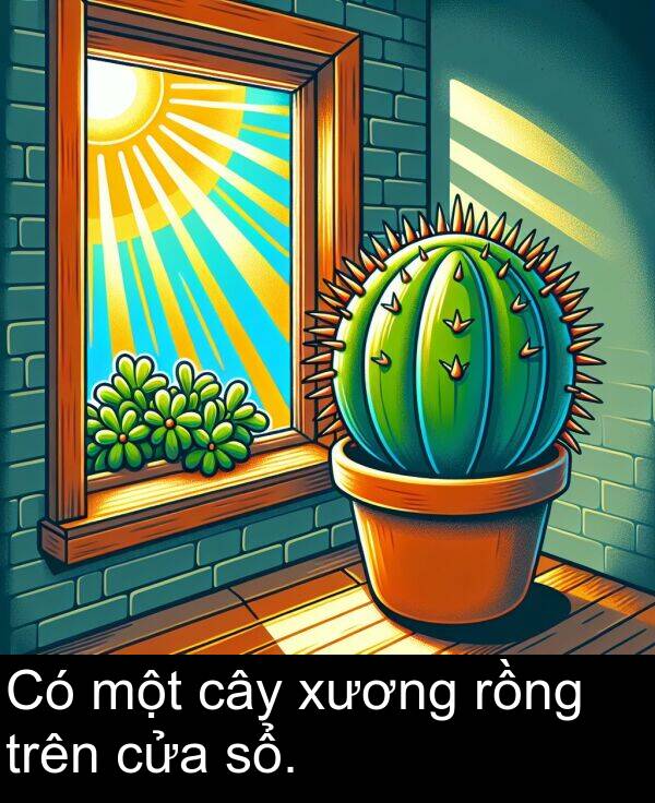 một: Có một cây xương rồng trên cửa sổ.