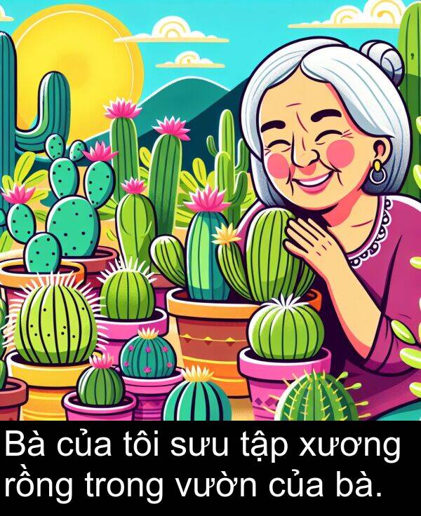 xương: Bà của tôi sưu tập xương rồng trong vườn của bà.