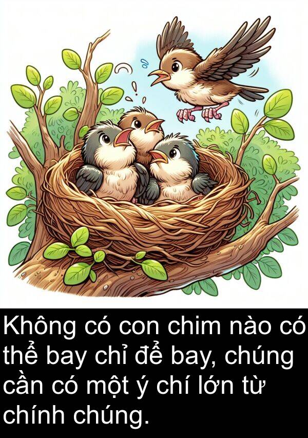 nào: Không có con chim nào có thể bay chỉ để bay, chúng cần có một ý chí lớn từ chính chúng.