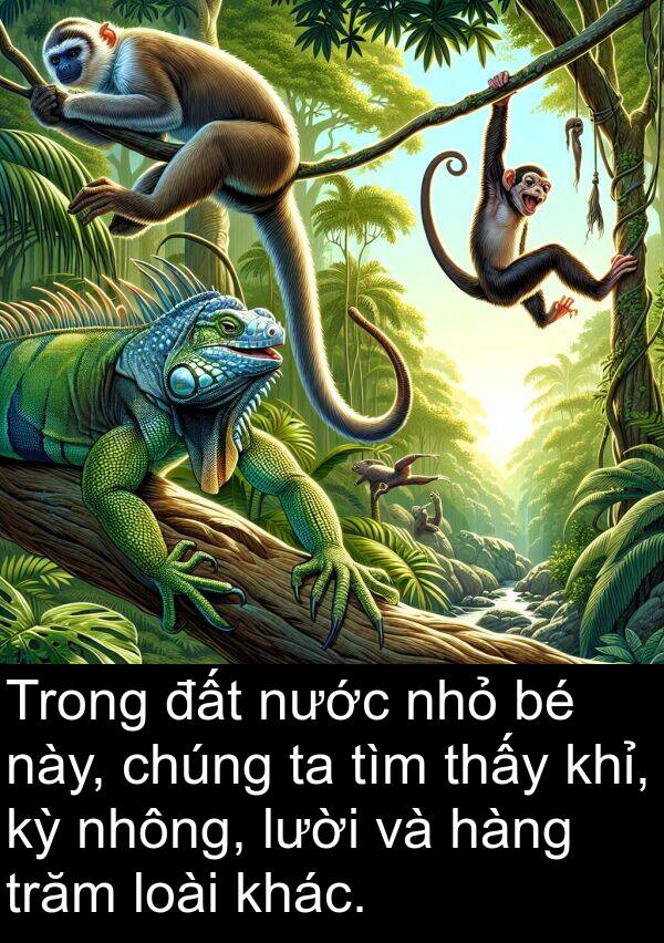 nhỏ: Trong đất nước nhỏ bé này, chúng ta tìm thấy khỉ, kỳ nhông, lười và hàng trăm loài khác.