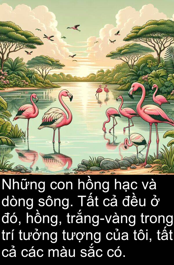 sông: Những con hồng hạc và dòng sông. Tất cả đều ở đó, hồng, trắng-vàng trong trí tưởng tượng của tôi, tất cả các màu sắc có.