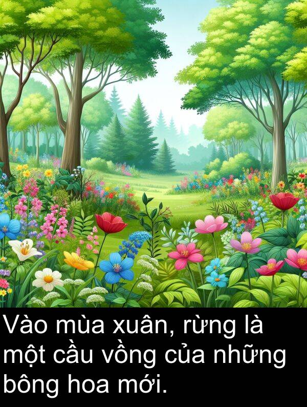 xuân: Vào mùa xuân, rừng là một cầu vồng của những bông hoa mới.