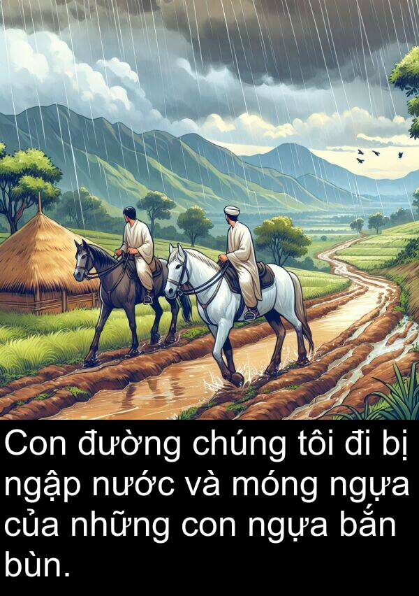 móng: Con đường chúng tôi đi bị ngập nước và móng ngựa của những con ngựa bắn bùn.