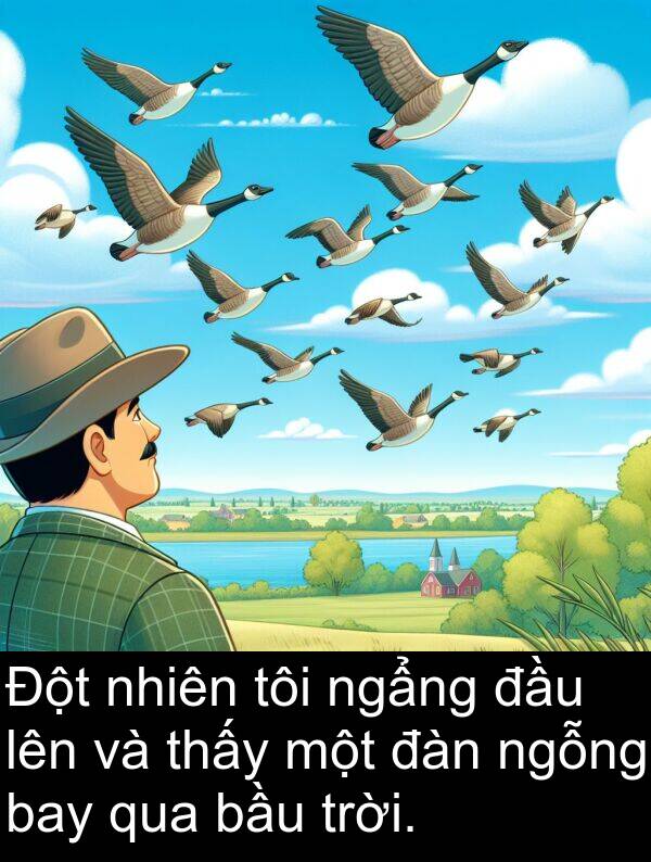 ngỗng: Đột nhiên tôi ngẩng đầu lên và thấy một đàn ngỗng bay qua bầu trời.