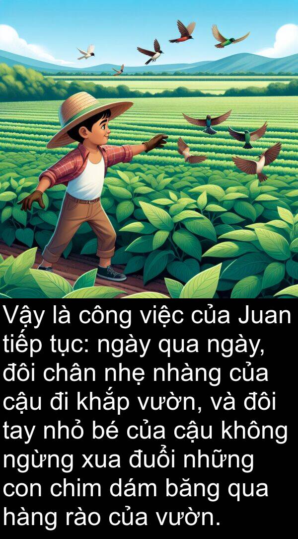 cậu: Vậy là công việc của Juan tiếp tục: ngày qua ngày, đôi chân nhẹ nhàng của cậu đi khắp vườn, và đôi tay nhỏ bé của cậu không ngừng xua đuổi những con chim dám băng qua hàng rào của vườn.