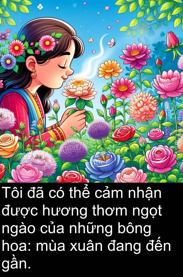 xuân: Tôi đã có thể cảm nhận được hương thơm ngọt ngào của những bông hoa: mùa xuân đang đến gần.