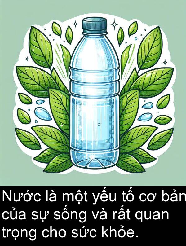 yếu: Nước là một yếu tố cơ bản của sự sống và rất quan trọng cho sức khỏe.