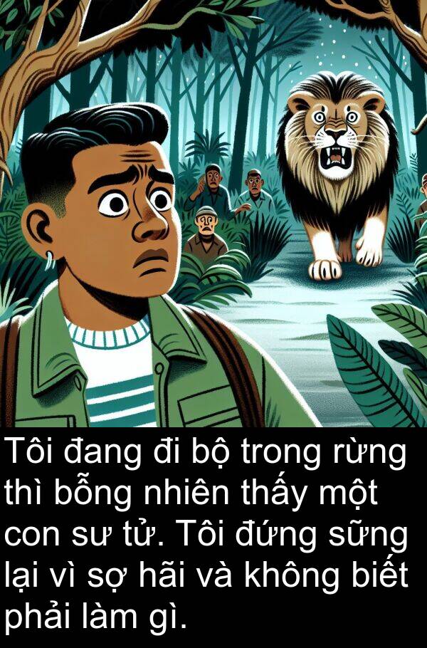 sững: Tôi đang đi bộ trong rừng thì bỗng nhiên thấy một con sư tử. Tôi đứng sững lại vì sợ hãi và không biết phải làm gì.