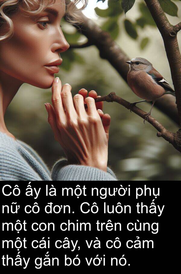 gắn: Cô ấy là một người phụ nữ cô đơn. Cô luôn thấy một con chim trên cùng một cái cây, và cô cảm thấy gắn bó với nó.