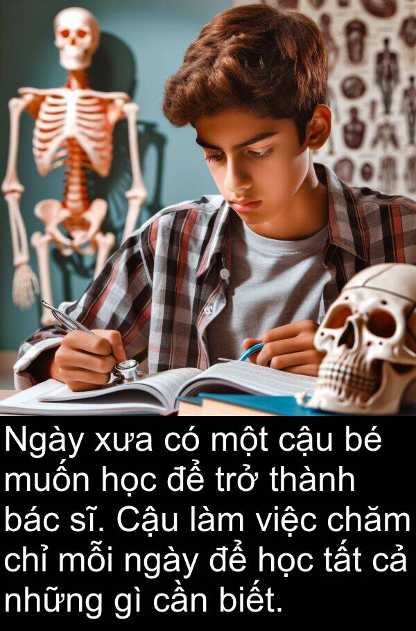 cậu: Ngày xưa có một cậu bé muốn học để trở thành bác sĩ. Cậu làm việc chăm chỉ mỗi ngày để học tất cả những gì cần biết.