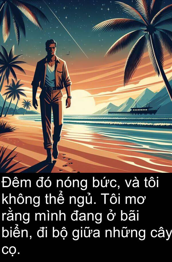 cọ: Đêm đó nóng bức, và tôi không thể ngủ. Tôi mơ rằng mình đang ở bãi biển, đi bộ giữa những cây cọ.