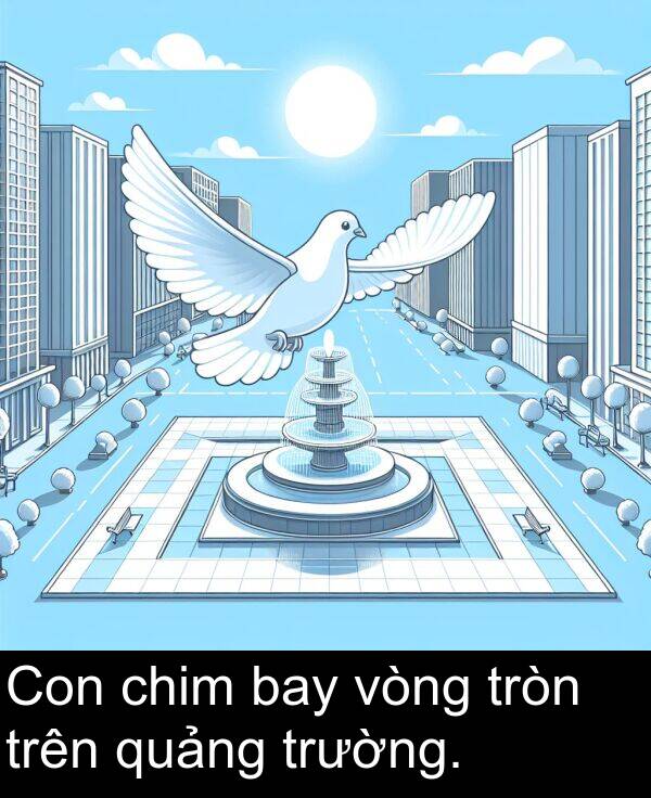 tròn: Con chim bay vòng tròn trên quảng trường.