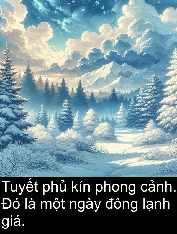 phủ: Tuyết phủ kín phong cảnh. Đó là một ngày đông lạnh giá.