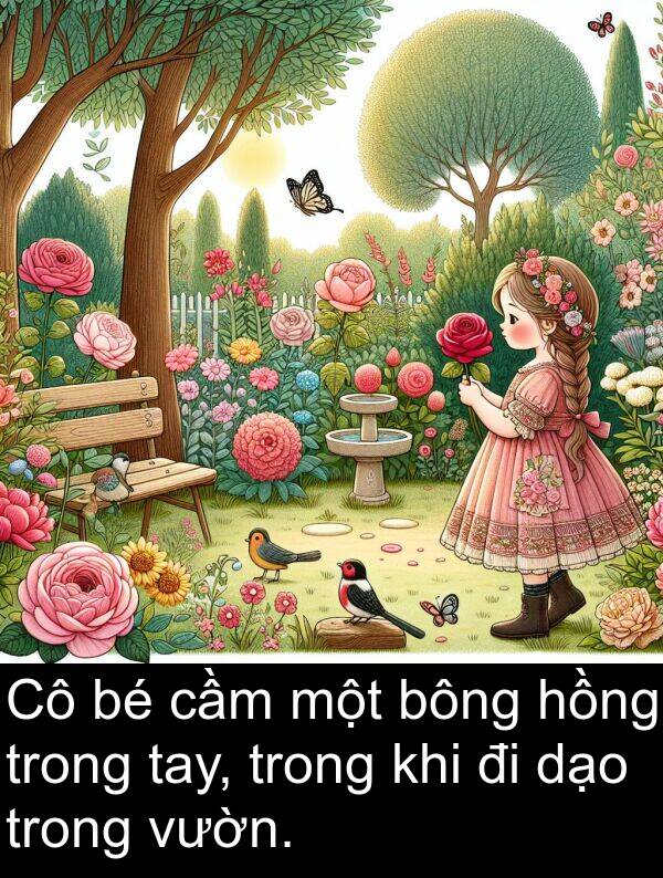 cầm: Cô bé cầm một bông hồng trong tay, trong khi đi dạo trong vườn.