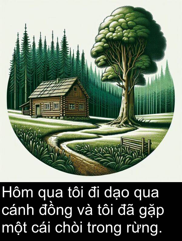 cánh: Hôm qua tôi đi dạo qua cánh đồng và tôi đã gặp một cái chòi trong rừng.