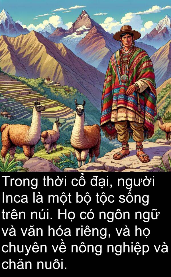 ngữ: Trong thời cổ đại, người Inca là một bộ tộc sống trên núi. Họ có ngôn ngữ và văn hóa riêng, và họ chuyên về nông nghiệp và chăn nuôi.