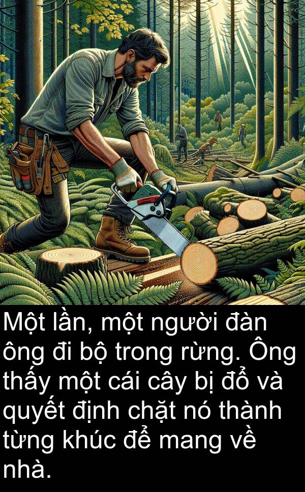 chặt: Một lần, một người đàn ông đi bộ trong rừng. Ông thấy một cái cây bị đổ và quyết định chặt nó thành từng khúc để mang về nhà.