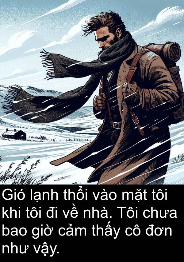 vậy: Gió lạnh thổi vào mặt tôi khi tôi đi về nhà. Tôi chưa bao giờ cảm thấy cô đơn như vậy.