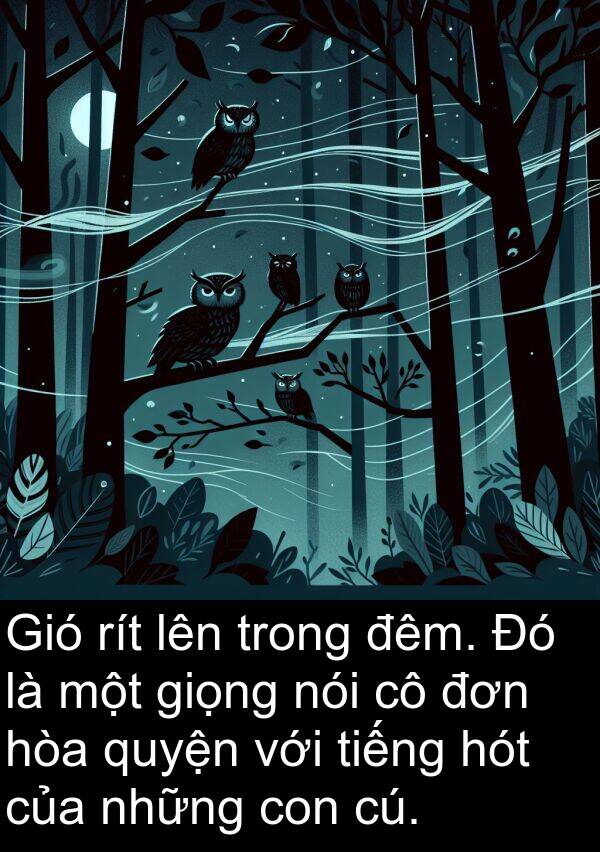 cú: Gió rít lên trong đêm. Đó là một giọng nói cô đơn hòa quyện với tiếng hót của những con cú.