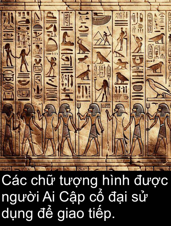 chữ: Các chữ tượng hình được người Ai Cập cổ đại sử dụng để giao tiếp.