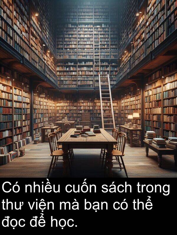 thư: Có nhiều cuốn sách trong thư viện mà bạn có thể đọc để học.