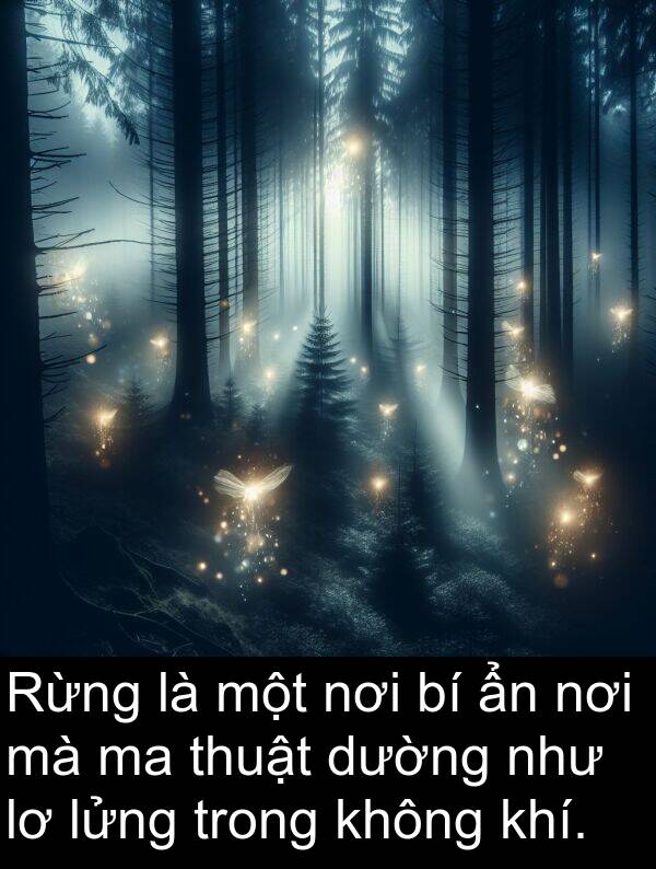 lửng: Rừng là một nơi bí ẩn nơi mà ma thuật dường như lơ lửng trong không khí.