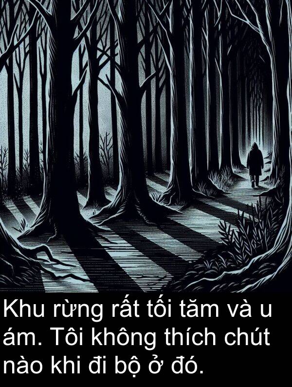 nào: Khu rừng rất tối tăm và u ám. Tôi không thích chút nào khi đi bộ ở đó.