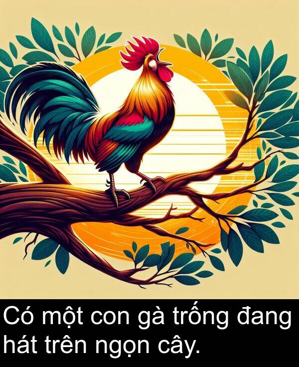 con: Có một con gà trống đang hát trên ngọn cây.