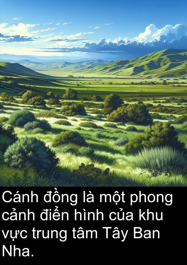 trung: Cánh đồng là một phong cảnh điển hình của khu vực trung tâm Tây Ban Nha.