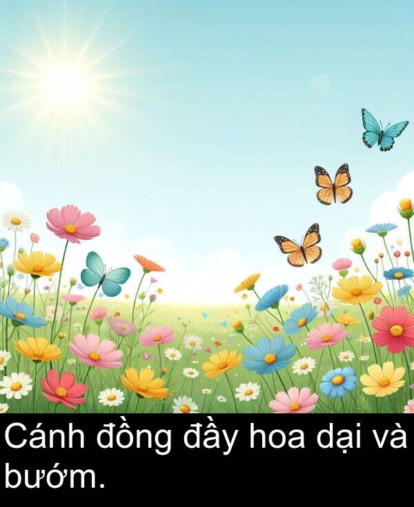 dại: Cánh đồng đầy hoa dại và bướm.