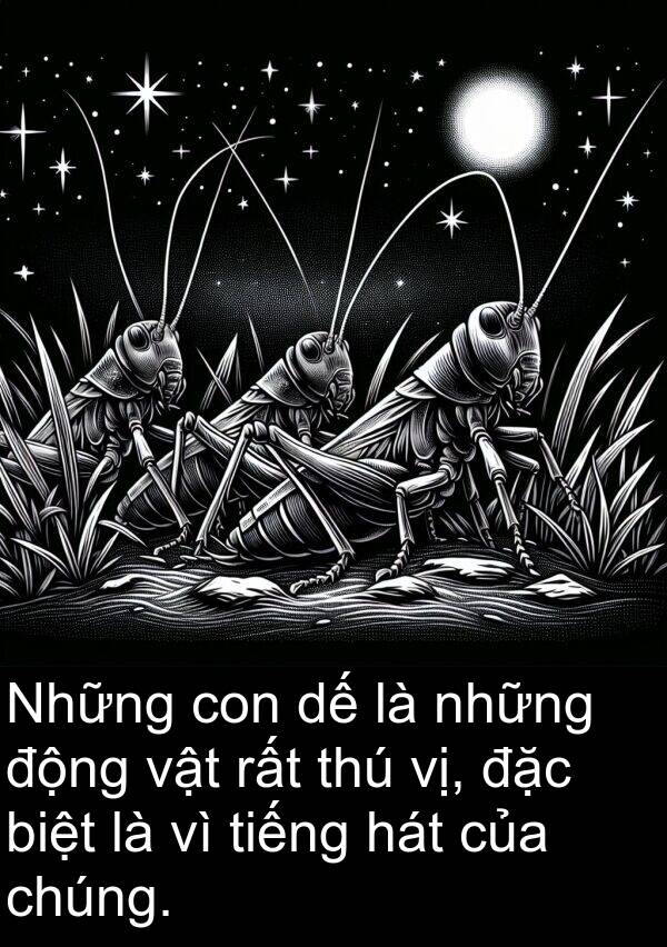 thú: Những con dế là những động vật rất thú vị, đặc biệt là vì tiếng hát của chúng.