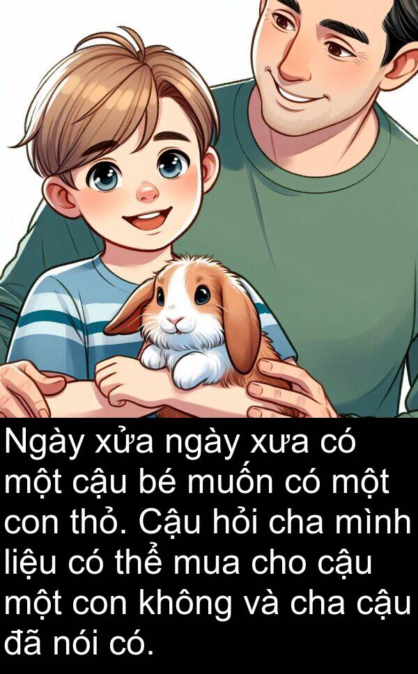 cha: Ngày xửa ngày xưa có một cậu bé muốn có một con thỏ. Cậu hỏi cha mình liệu có thể mua cho cậu một con không và cha cậu đã nói có.