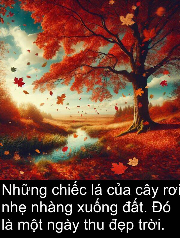 xuống: Những chiếc lá của cây rơi nhẹ nhàng xuống đất. Đó là một ngày thu đẹp trời.