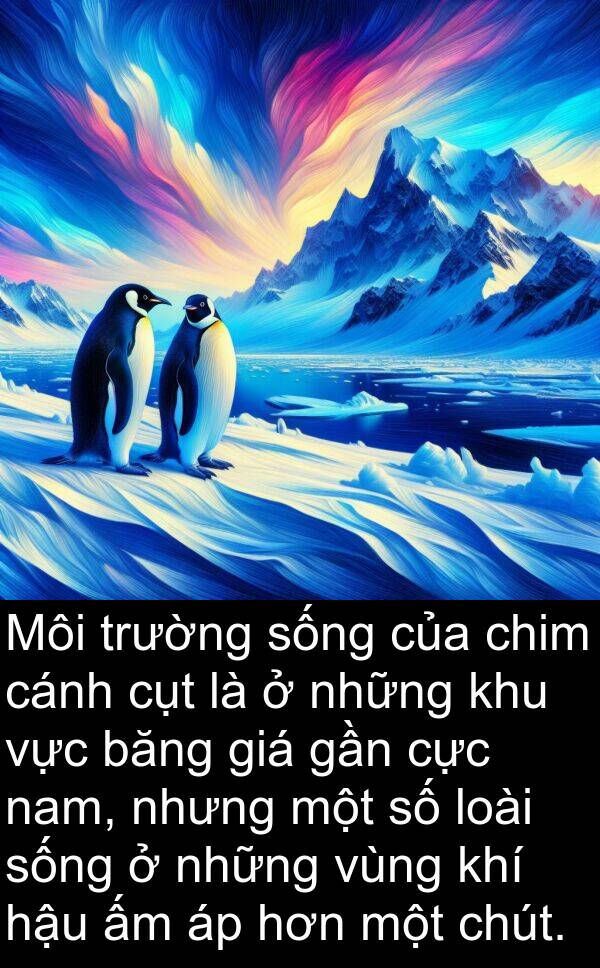 cực: Môi trường sống của chim cánh cụt là ở những khu vực băng giá gần cực nam, nhưng một số loài sống ở những vùng khí hậu ấm áp hơn một chút.